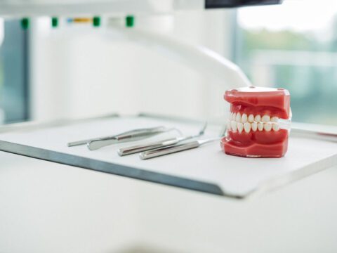 Auf einem Behandlungsablage-Tisch in einer modernen kieferorthopädischen Praxis liegen drei silberne zahnärztliche Instrumente ordentlich nebeneinander – darunter ein Mundspiegel, eine Pinzette und eine Sonde. Daneben steht ein Zahnmodell mit vollständigem Gebiss, das zur Veranschaulichung von Zahnstellungen und kieferorthopädischen Behandlungen dient. Im Hintergrund ist durch das Fenster unscharf die Umgebung außerhalb der Praxis zu erkennen. Die Szene wirkt steril, professionell und gut vorbereitet für die Behandlung.